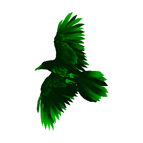 Raven Logo